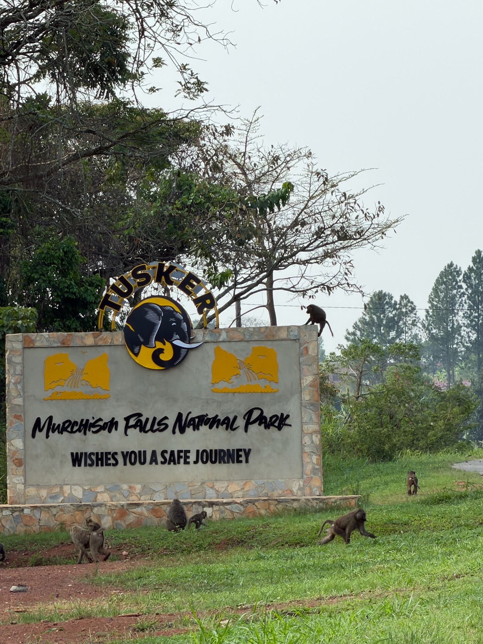Uganda mission